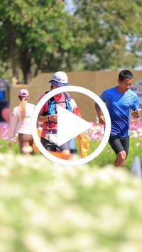 BIB:  <button type="button" onclick="openModal(27587953)" class="btn btn-primary btn-sm float-right" data-toggle="modal" data-target=".modal-high-quality">
                <i class="fa fa-download"></i> Download
                </button>